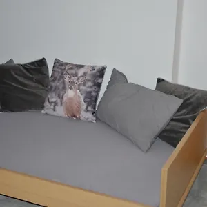 Steinhauser Apartment